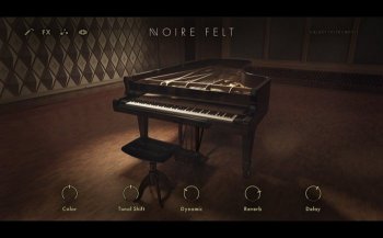 Native Instruments Noire v1.0.0 KONTAKT-SYNTHiC4TE screenshot