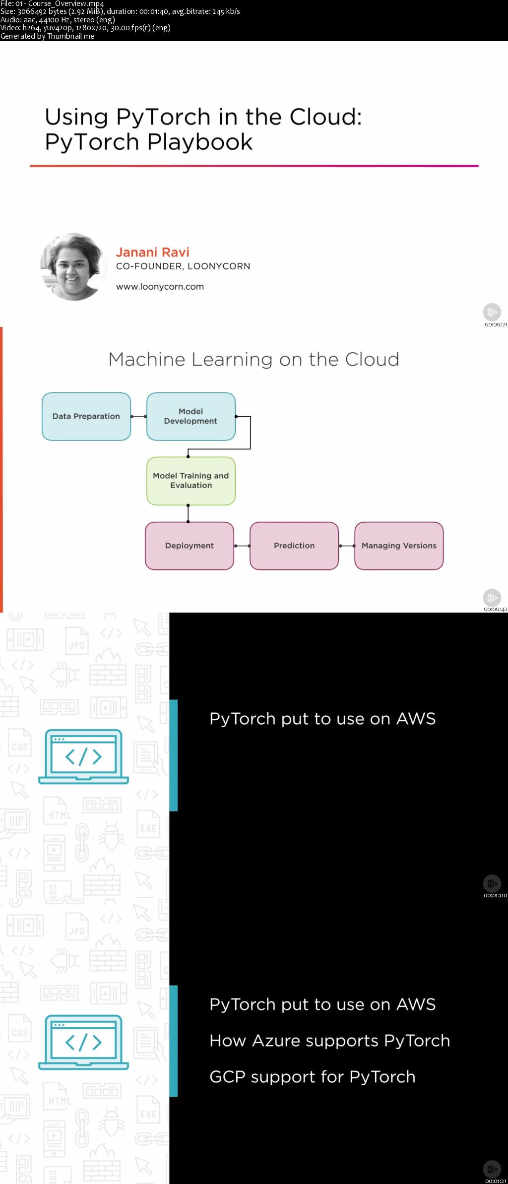 Using PyTorch in the Cloud: PyTorch Playbook