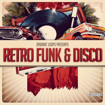 Organic Loops Retro Funk and Disco WAV REX screenshot