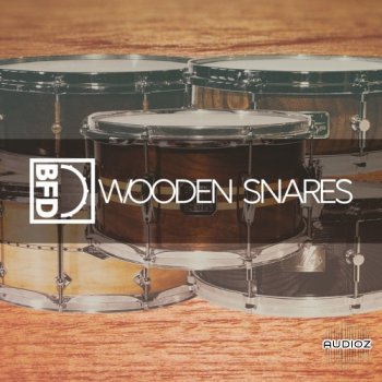 FXpansion BFD Wooden Snares for BFD3-V.R screenshot