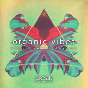 Origin Sound Organic Vibes Vinyl Beats And Soul WAV MiDi-DISCOVER screenshot