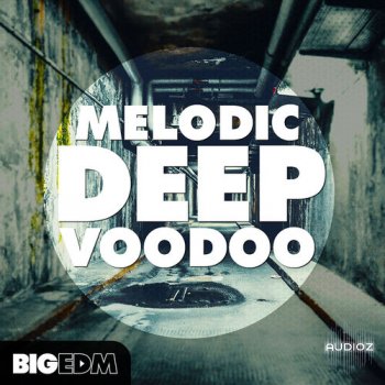 Big EDM Melodic Deep Voodoo MULTiFORMAT screenshot