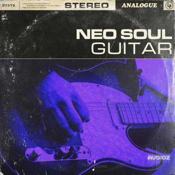 Touch Loops Neo Soul Guitars WAV screenshot