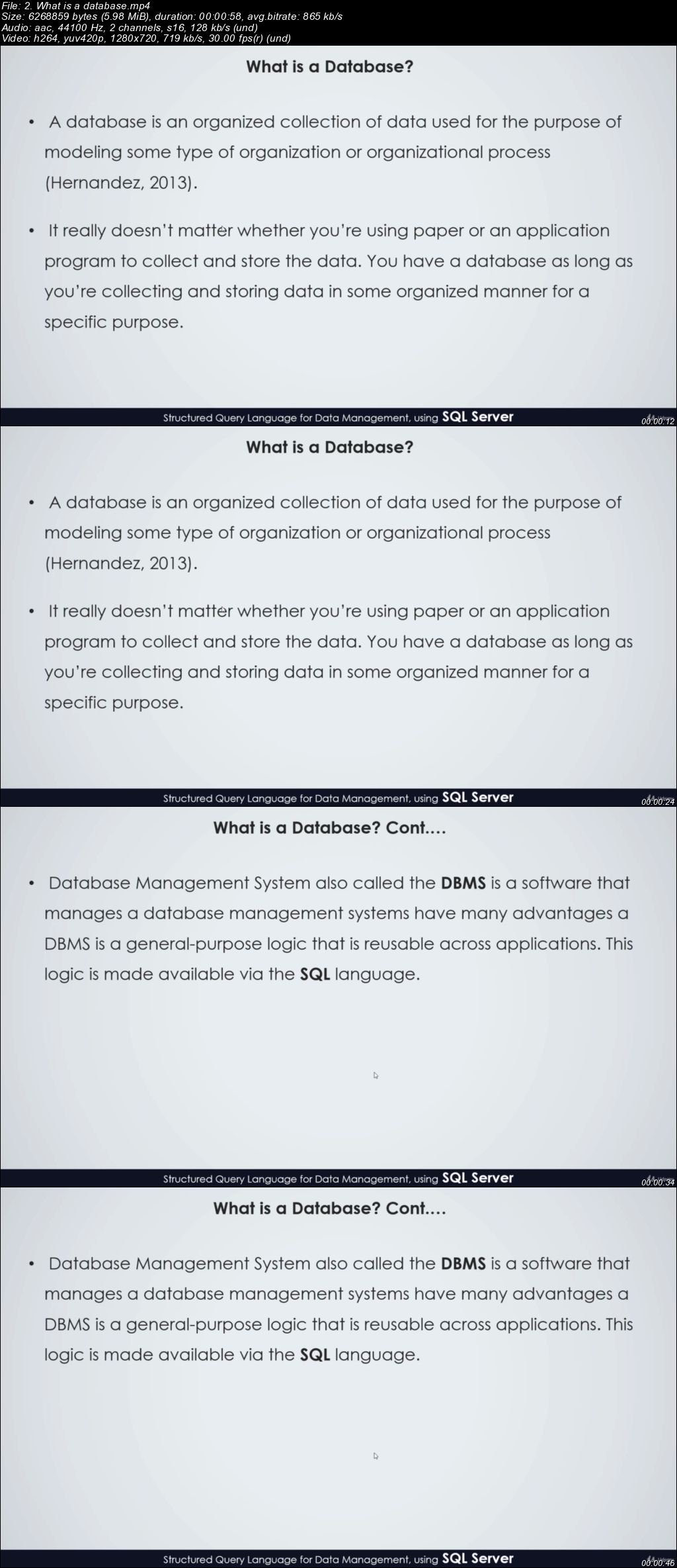  SQL for Developers and Analysts with MS SQL Server 