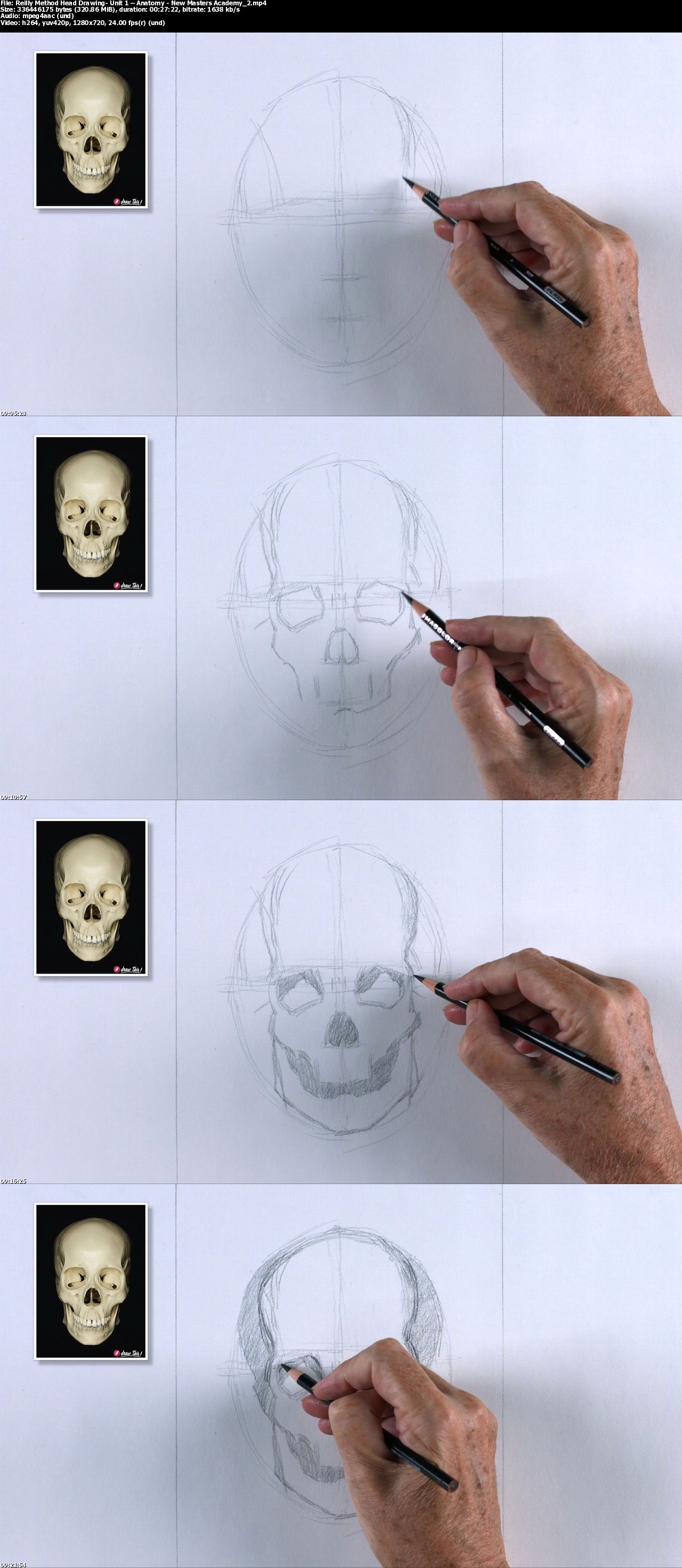 Reilly Method Head Drawing: Unit 1 – Anatomy with Mark Westermoe