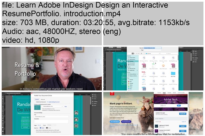 Learn Adobe InDesign: Design an Interactive Resume/Portfolio 