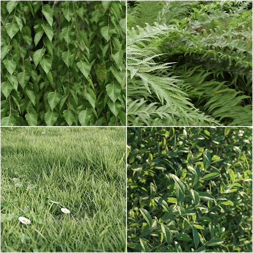 Polyget – Complete Foliage Collection