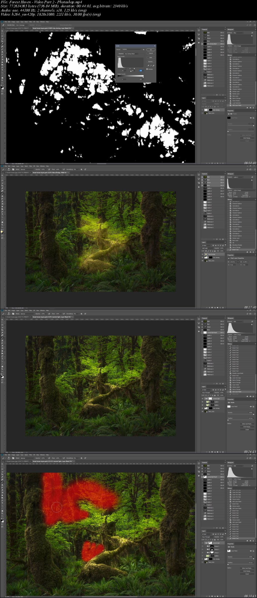 Three Trees: Post Processing Video