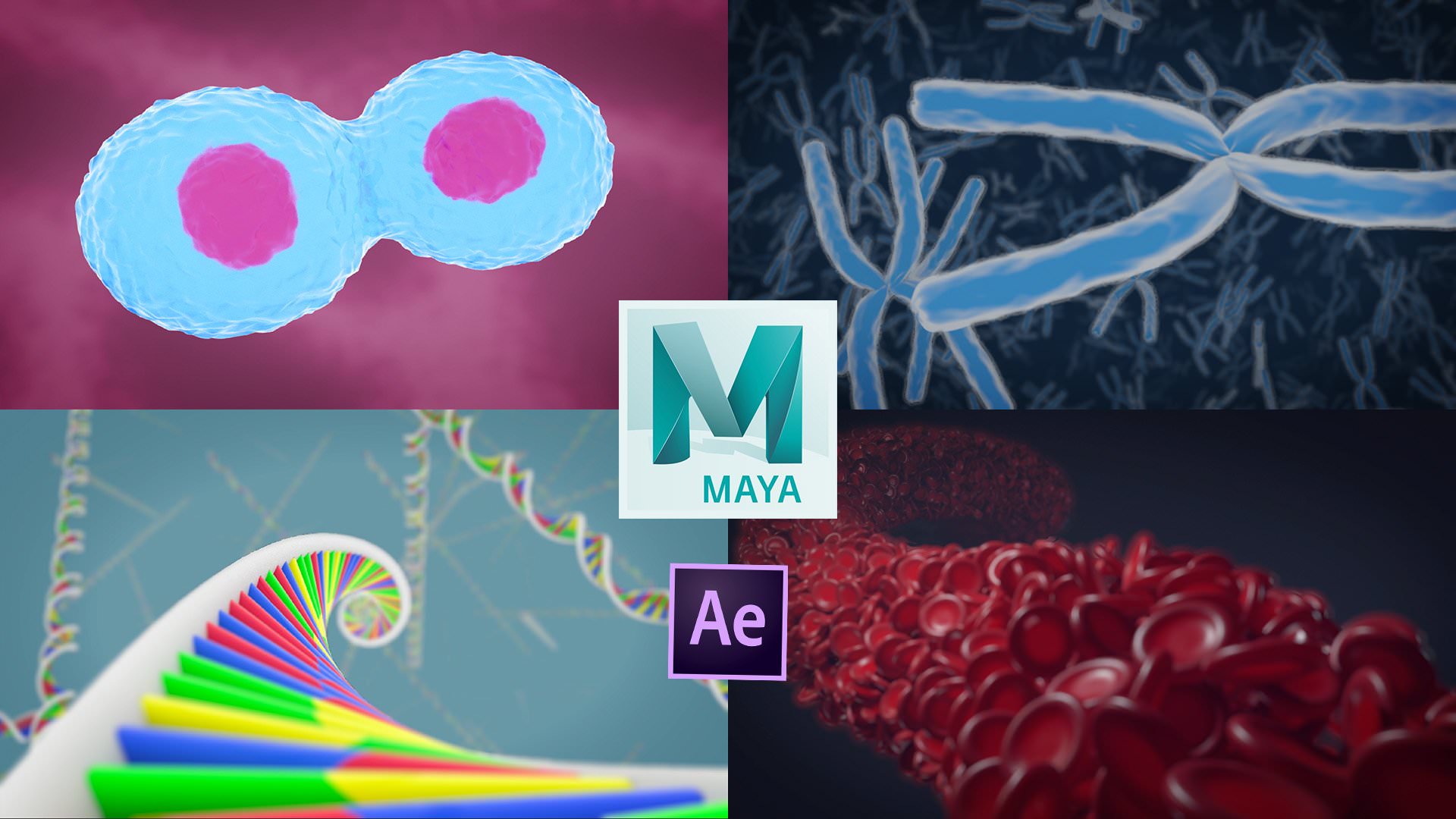 Skillshare – 3D Medical Animation in Autodesk Maya