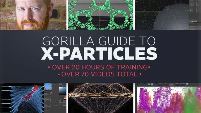 Greyscalegorilla Guide to X-Particles