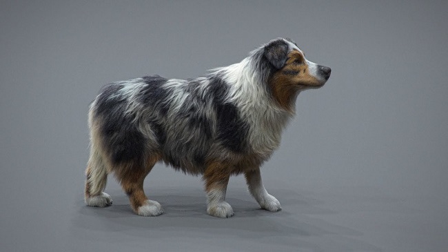 The Gnomon Workshop – Realistic Dog Grooming for Production with XGen with Jordan Soler