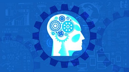 Projects in Machine Learning : Beginner To Professional