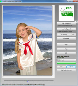 Green Screen Wizard Professional 9.5 + Portable