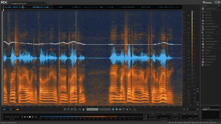 iZotope RX 6 Audio Editor Advanced v6.10 MacOSX