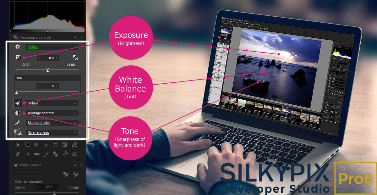 SILKYPIX Developer Studio Pro 8.0.4.0