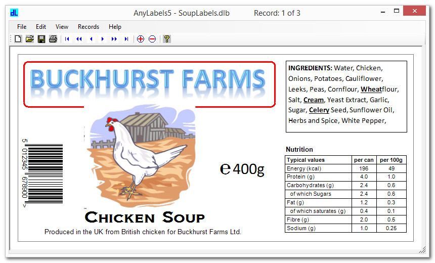 DlSoft AnyLabels 6.12