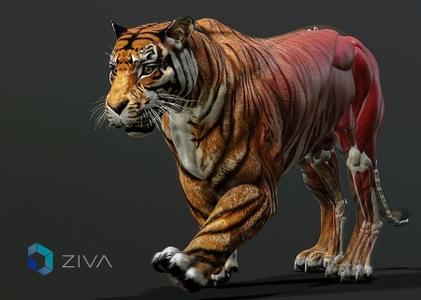 Ziva Dynamics Ziva VFX 1.3 for Maya 2014-2018