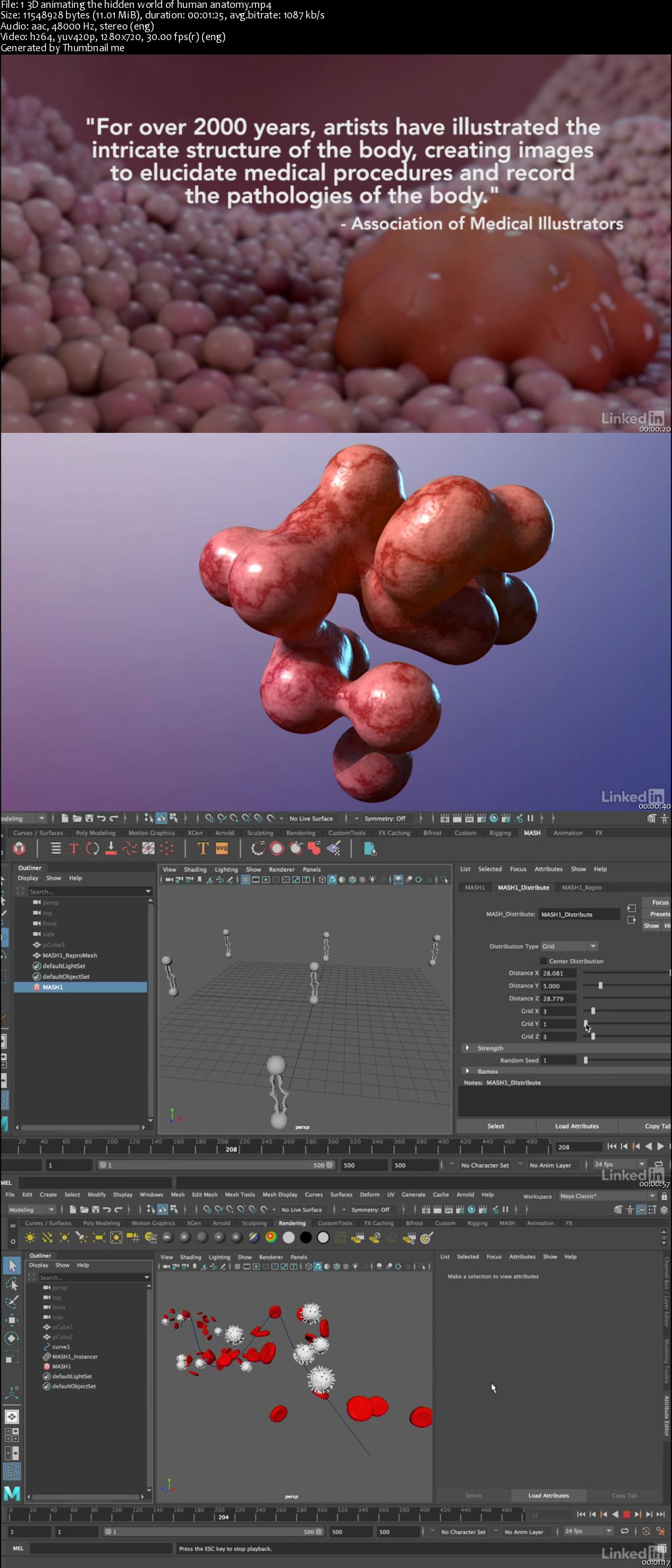 Maya: Fundamentals of Medical Animations