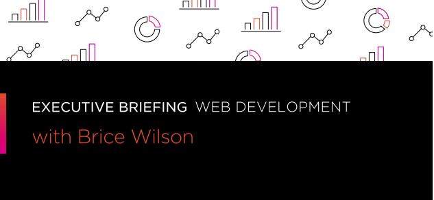 Web Development: Executive Briefing