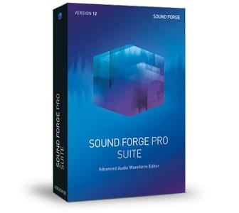 MAGIX SOUND FORGE Pro Suite 12.1.0.170 (x86/x64)