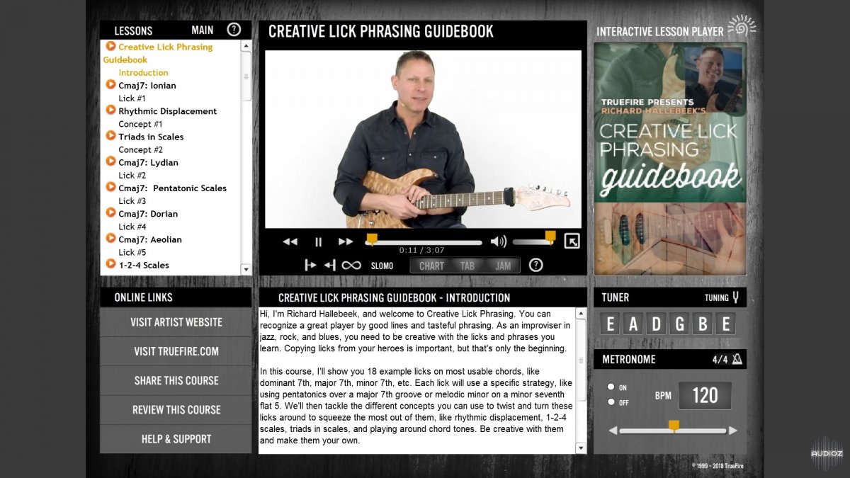 Truefire - Richard Hallebeek's Creative Lick Phrasing Guidebook (2018) screenshot