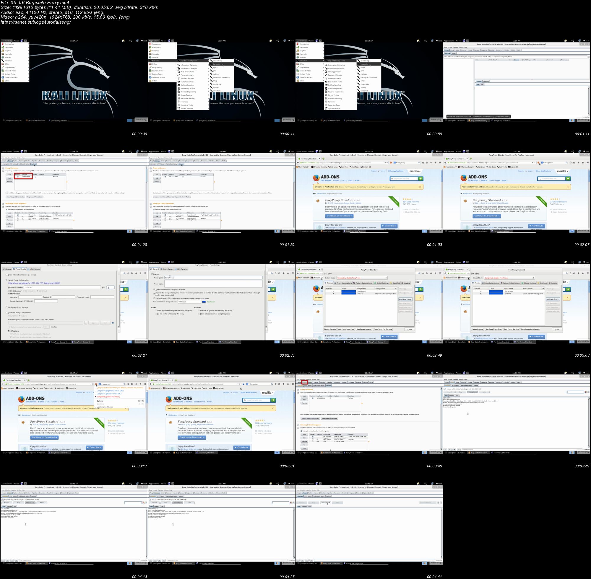 Pluralsight - Penetration Testing and Ethical Hacking with Kali Linux