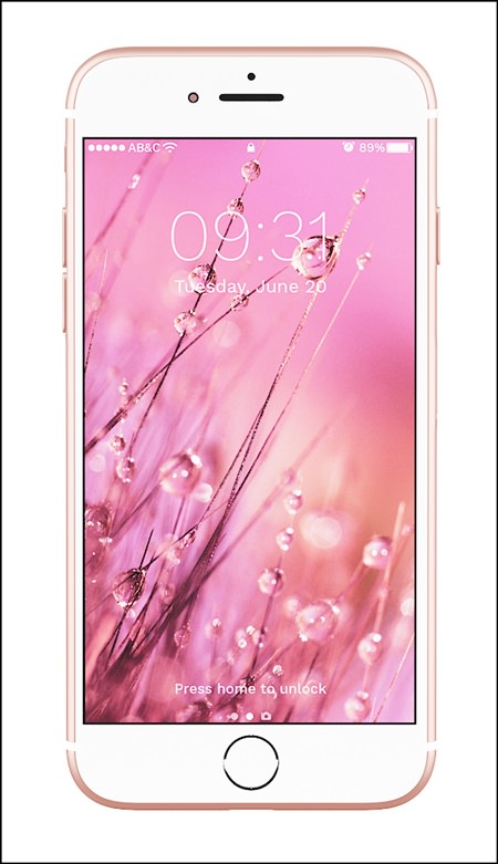 iPhone Plus Gold Pink