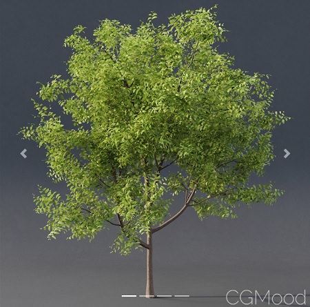 CGMood Fstorm Materials Collection