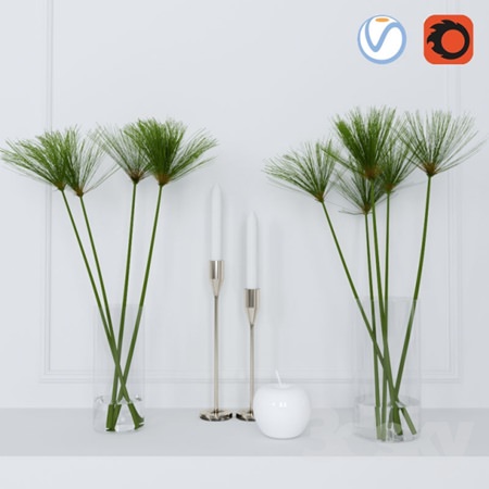 shoots of papyrus in a glass vase