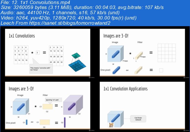 Deep Learning: Advanced Computer Vision