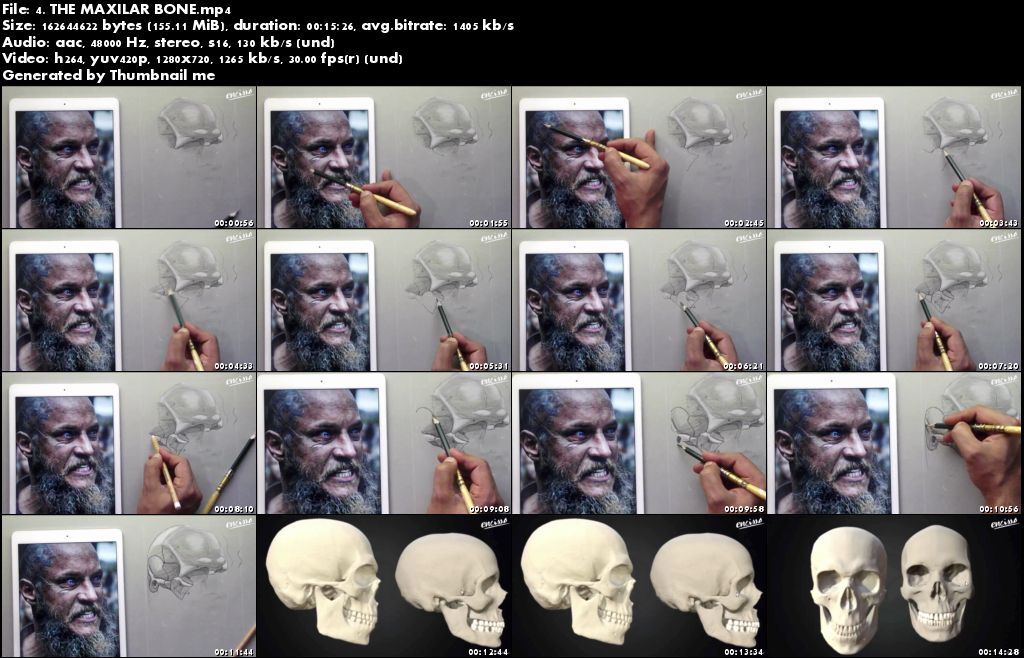 The Skull Anatomy: Drawing Course