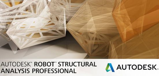 Autodesk Robot Structural Analysis Professional 2019.1 (x64) Multilingual