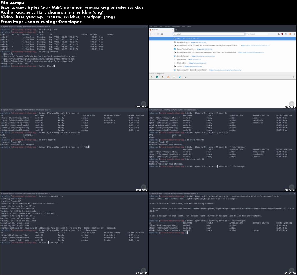 Securing the Docker Platform