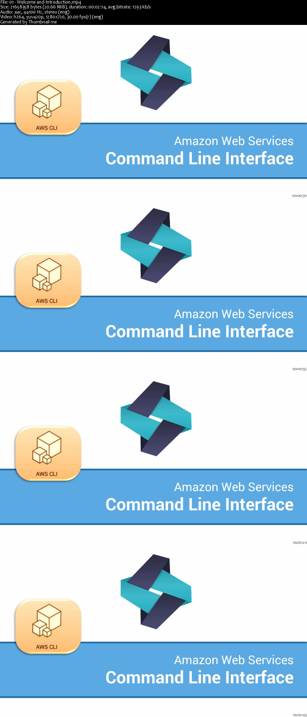 AWS MasterClass: DevOps with AWS Command Line Interface (CLI)