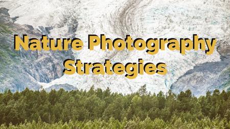 Nature Photography Strategies