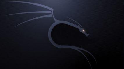 Fundamentals of Kali Linux