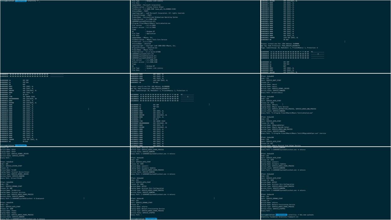 Forensic Analysis of Computer Memory