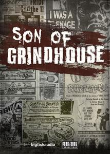 Big Fish Audio & Funk Soul Productions - Son of Grindhouse KONTAKT AiFF REX