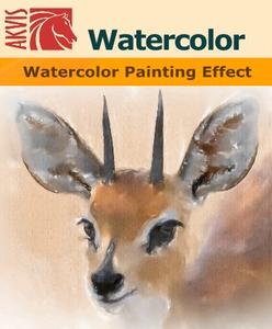 AKVIS Watercolor 3.0.237.16054 macOS