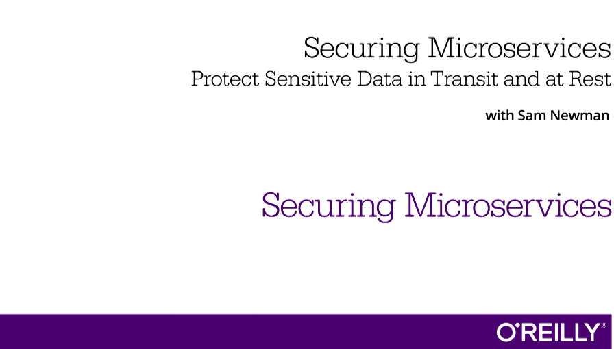 Securing Microservices: Protect Sensitive Data in Transit and at Rest