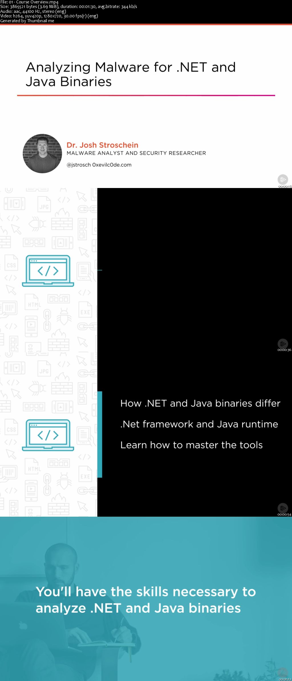 Analyzing Malware for .NET and Java Binaries