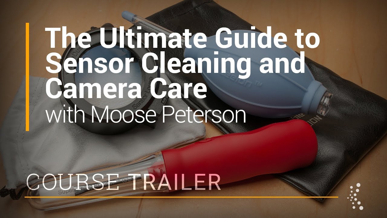 The Ultimate Guide to Sensor Cleaning and Camera Care