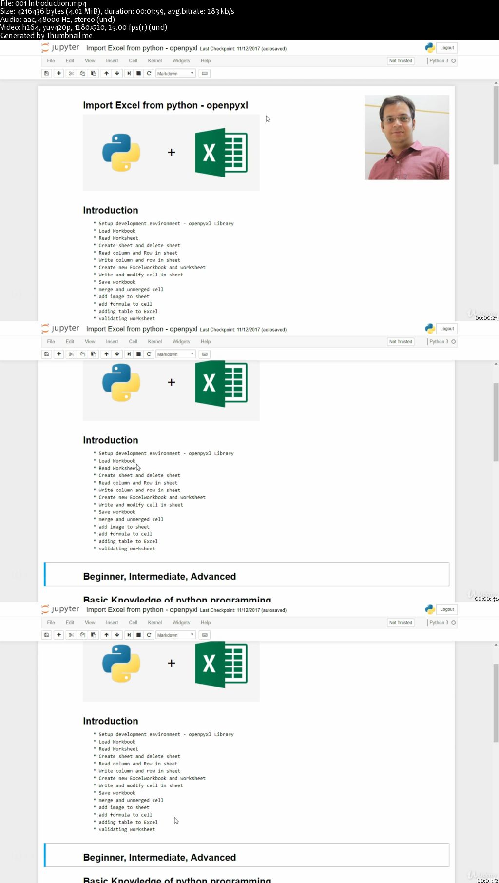 Python automation Excel, Word, PDF, Web Scraping and more