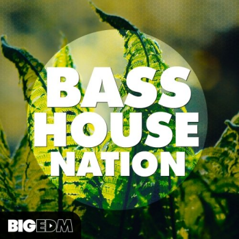 Big EDM Bass House Nation WAV MiDi XFER RECORDS SERUM-DISCOVER screenshot