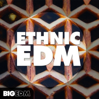 Big EDM Ethnic EDM WAV MiDi LENNAR DiGiTAL SYLENTH1 REVEAL SOUND SPiRE-DISCOVER screenshot