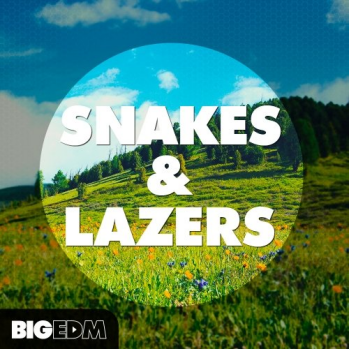 Big EDM Snakes And Lazers WAV MiDi XFER RECORDS SERUM-DISCOVER screenshot