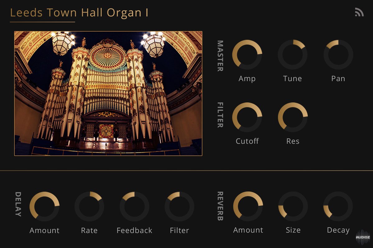 Noiiz Leeds Town Hall Organ FOR Noiiz Player screenshot