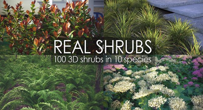 Vizpark – Real Shrubs for 3ds max only