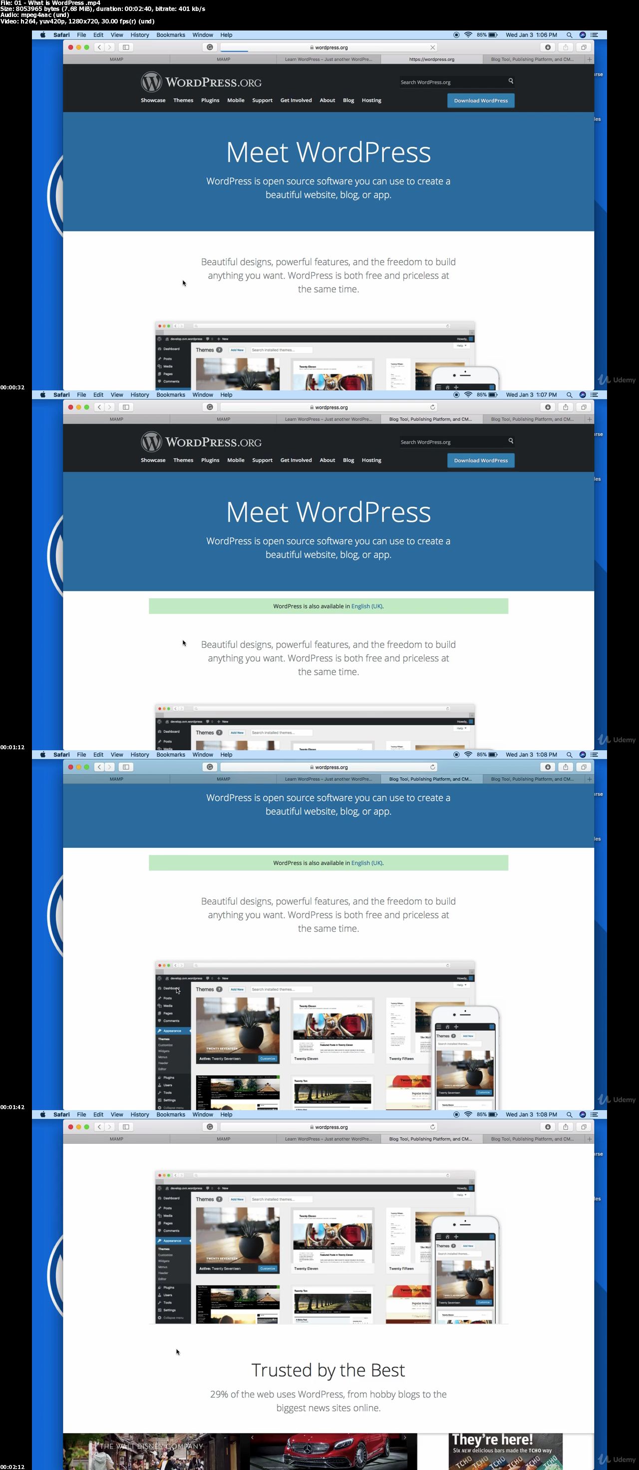 Complete WordPress Website Developer Course