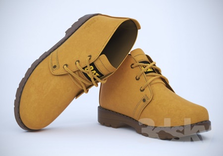 Caterpillar Shoes